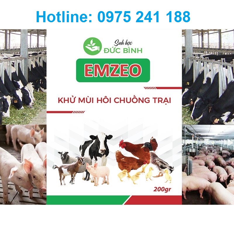 Emzeo khử mùi chuồng trại chăn nuôi